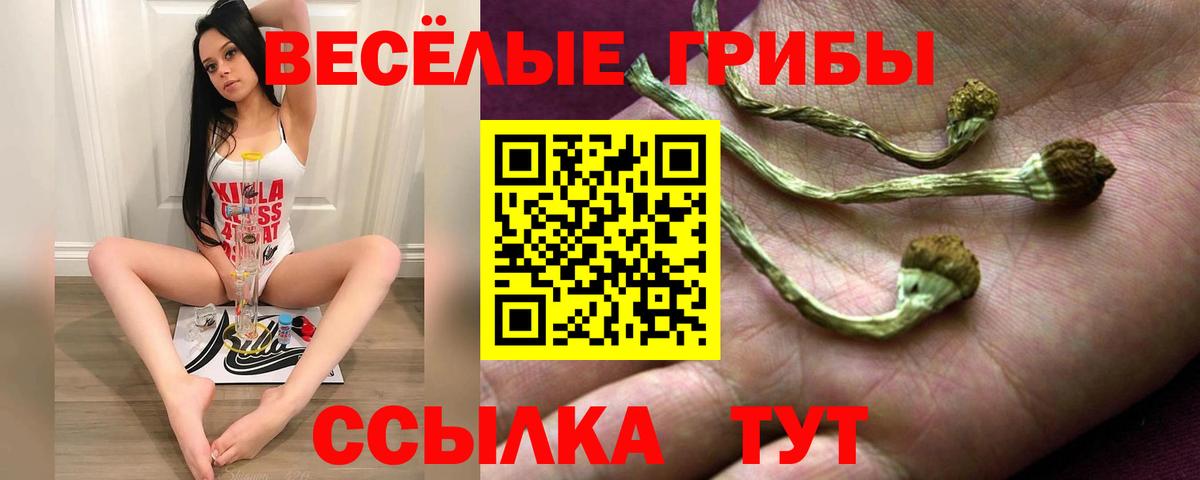 Псилоцибиновые грибы Cubensis Новый Уренгой