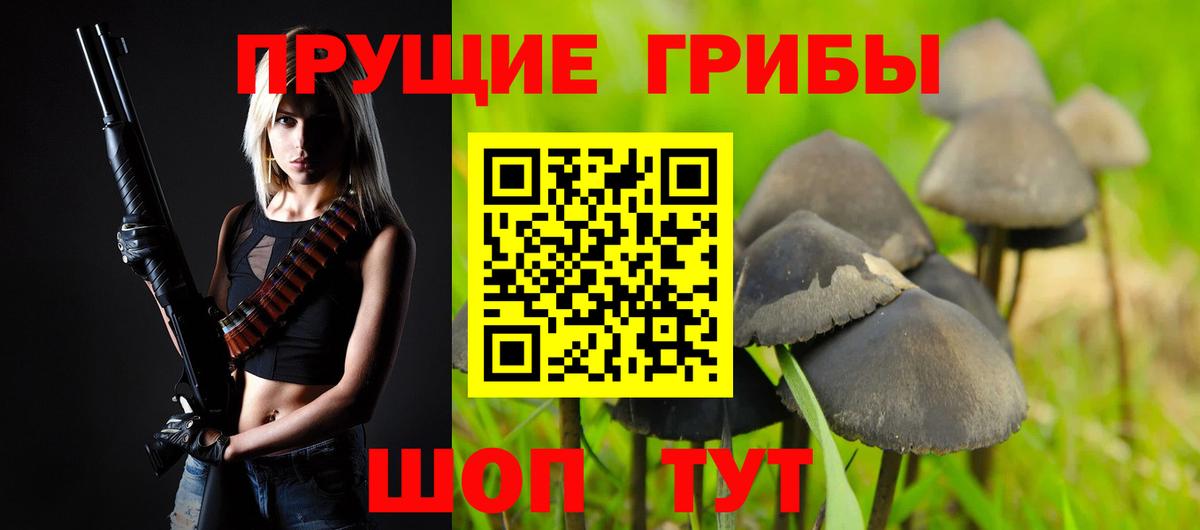 Галлюциногенные грибы GOLDEN TEACHER  Вход с VPN  Галлюциногенные грибы Psilocybe  Новый Уренгой 